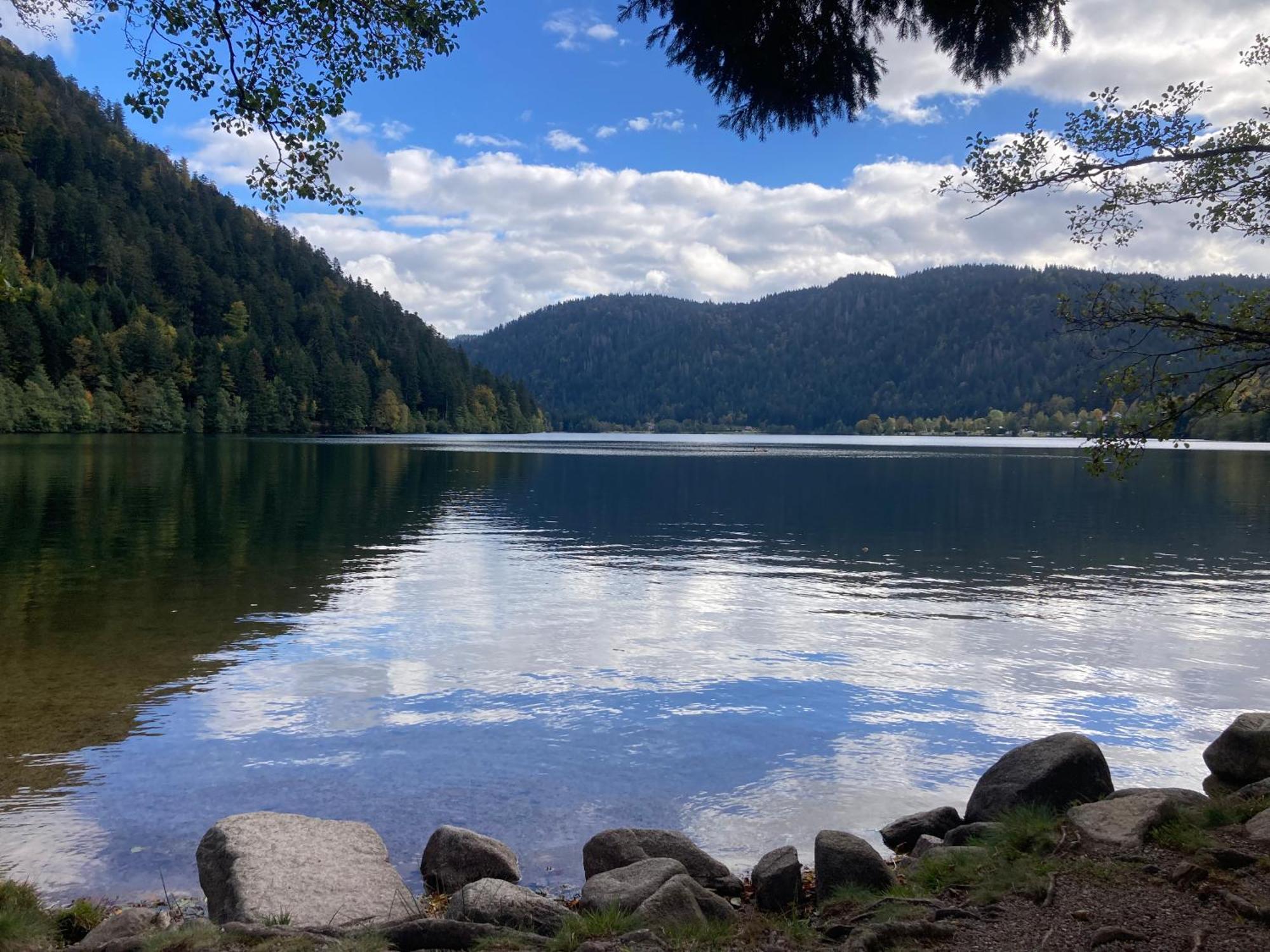 Le Perchoir, Gite 7 Personnes, Le Grand Valtin Ban-sur-Meurthe-Clefcy Bagian luar foto