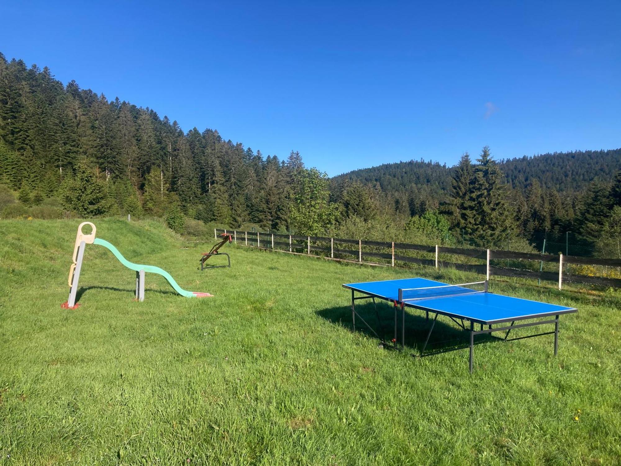 Le Perchoir, Gite 7 Personnes, Le Grand Valtin Ban-sur-Meurthe-Clefcy Bagian luar foto
